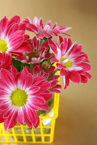 Рожеві квіти хризантем у жовтому кошику — стокове фото