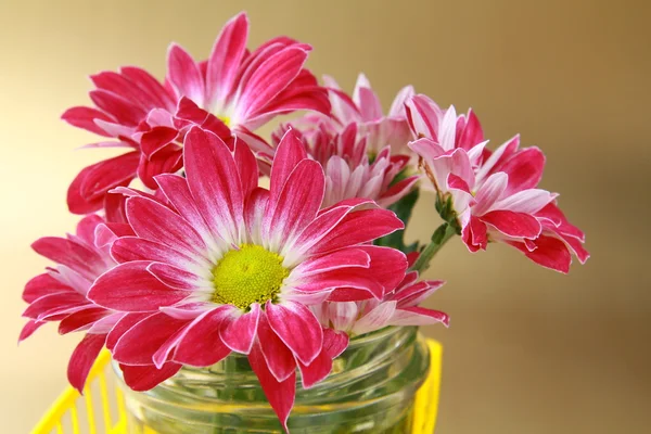Pink chrysanthemum flowers in the yellow basket — Stock Photo, Image
