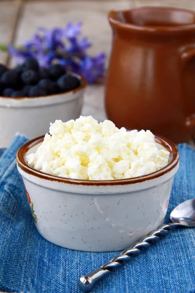Fresh, natural cottage cheese dairy product — Stock Photo, Image
