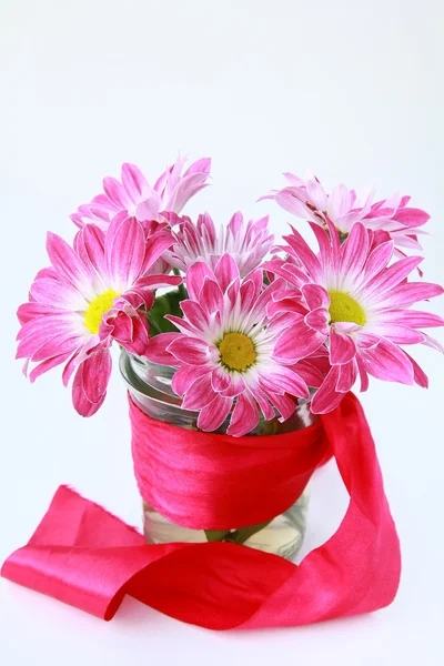 Розовый хризантема цветы с красной лентой — стоковое фото