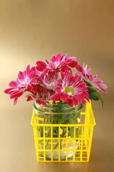 Roze chrysant bloemen in de gele mand — Stockfoto