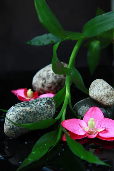 Ramo de bambu, pedras e orquídeas no conceito de spa de água — Fotografia de Stock