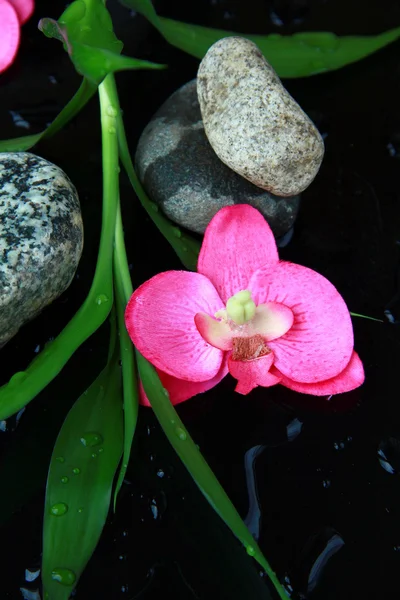 Tak van bamboe, stenen en orchideeën in water spa concept — Stockfoto