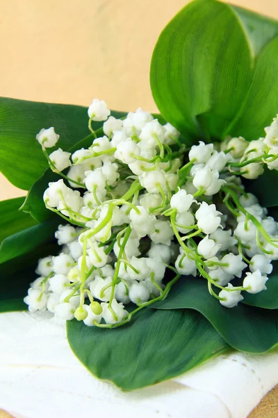 Lovely bunch of lily of the valley on a stone background — Stock Photo, Image
