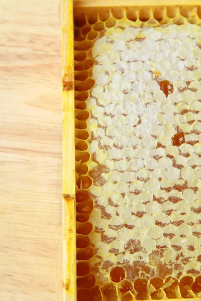 Drewniane pudełko z naturalnej strukturze plastra miodu i miód — Zdjęcie stockowe