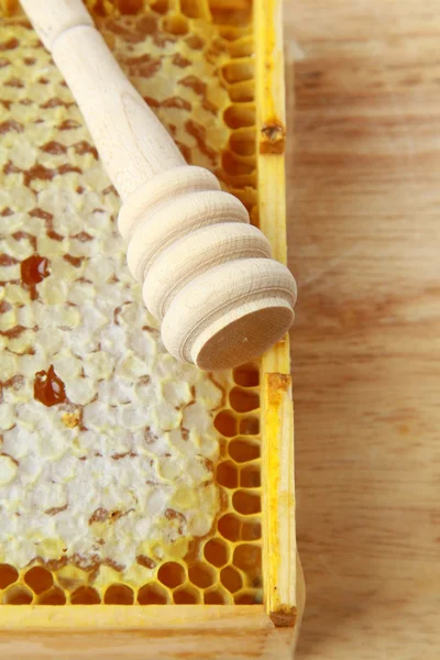 Caja de madera con panales naturales y miel —  Fotos de Stock