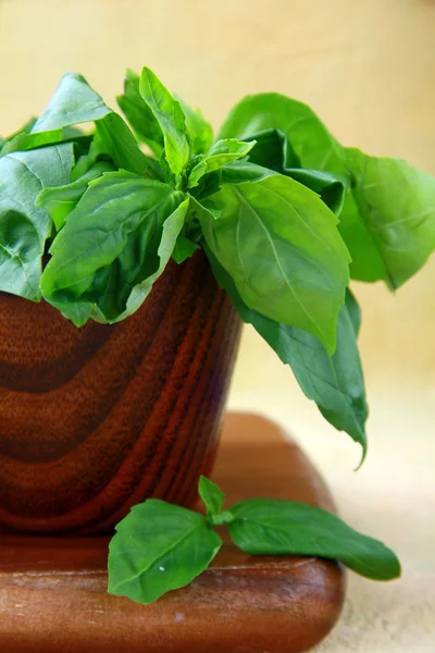 Зеленый свежий базилик в деревянной чаше — стоковое фото