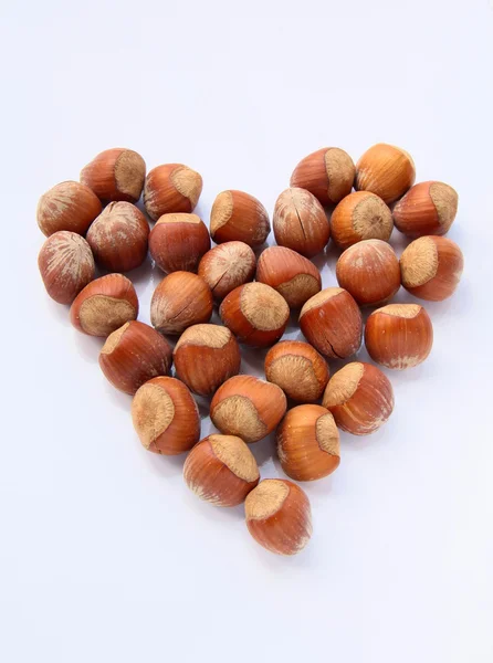 Hazelnuts lined with a heart on a white background Stock Image