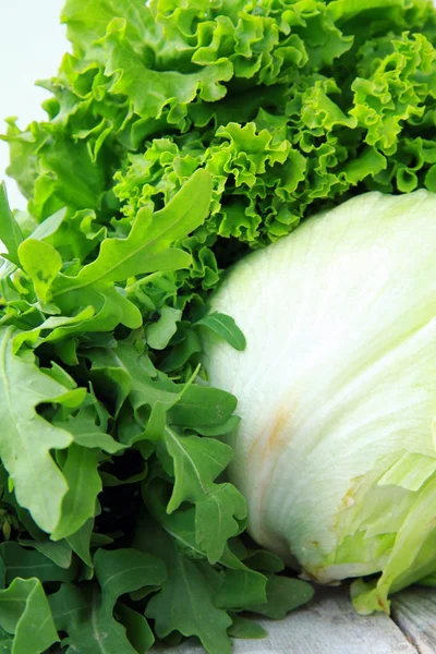 Lettuce, arugula and iceberg lettuce are three types of salat — Stock Photo, Image