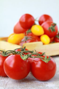 Several varieties of tomatoes in a box on the table