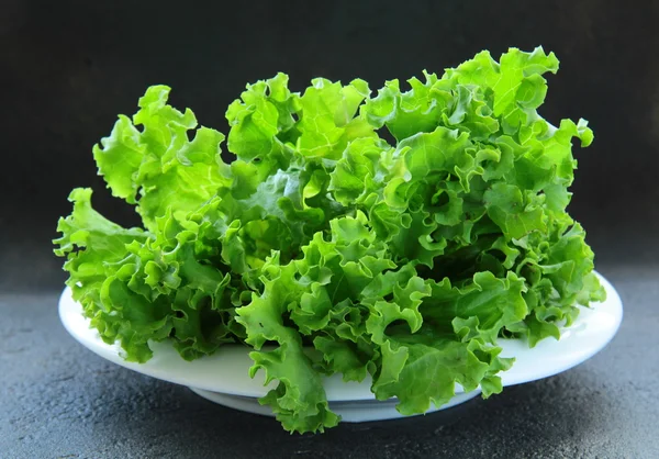 Fresh lettuce on a plate on a black background — Stock Photo, Image
