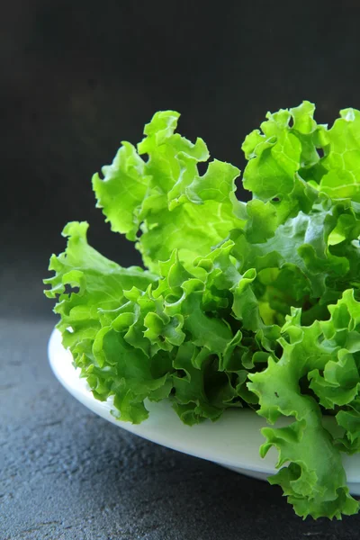 Fresh lettuce on a plate on a black background