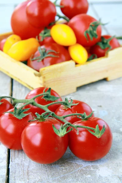 Кілька різновидів помідорів в коробці на столі — стокове фото