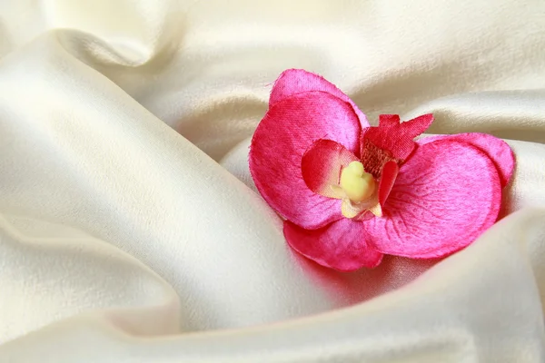 Pink orchids on a beige soft, luxurious silk — Stock Photo, Image