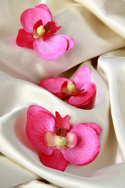 Orquídeas rosadas sobre una seda suave y lujosa beige —  Fotos de Stock