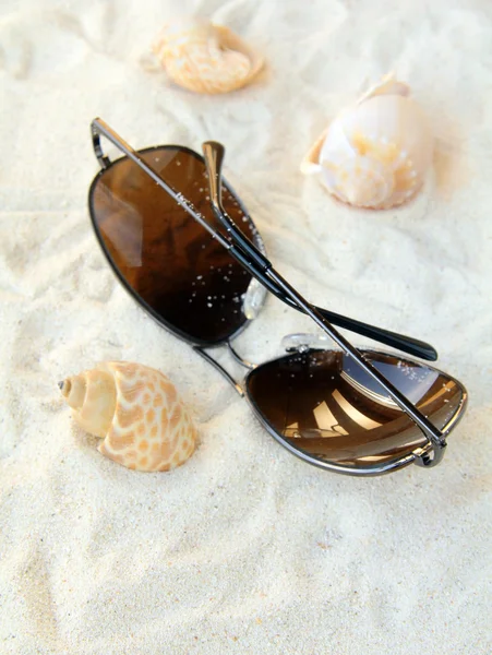 Gafas de sol, conchas marinas en una playa de arena blanca, concepto de vacaciones —  Fotos de Stock
