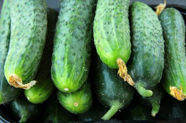 Cucumbers in a box on a black background