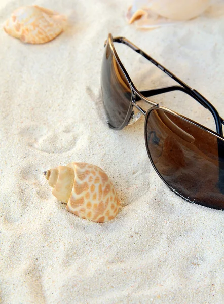 Lunettes de soleil, coquillages sur une plage de sable blanc, concept vacances — Photo
