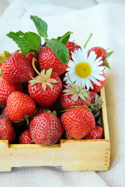 Fresas orgánicas maduras frescas en una caja de madera — Foto de Stock
