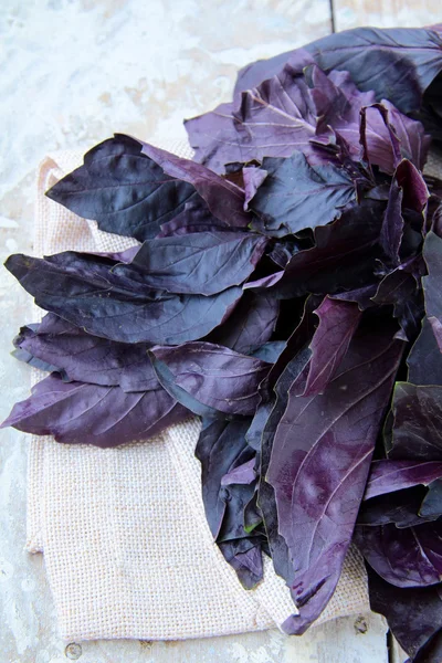 stock image Red purple basil on a wooden table