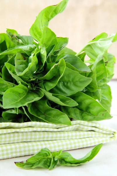 Bunch of fresh basil on a napkin on the table — Stock Photo, Image