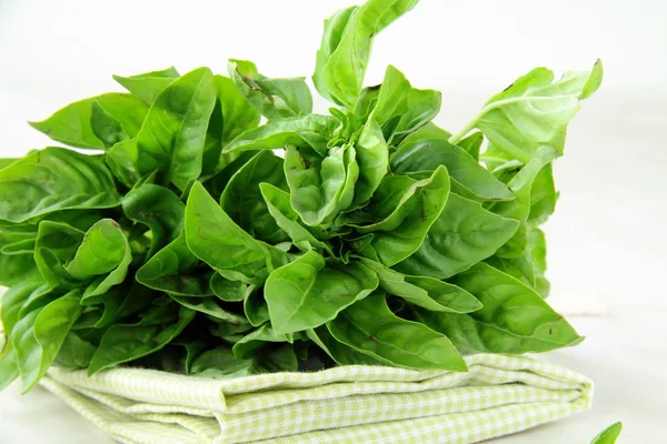 Bunch of fresh basil on a napkin on the table — Stock Photo, Image