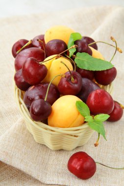 Mix of ripe berries, apricot and cherry, plum in a wicker basket clipart