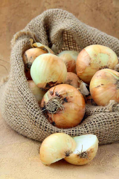 Organic fresh onion in linen bag — Stock Photo, Image