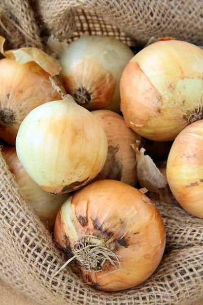 Organic fresh onion in linen bag — Stock Photo, Image