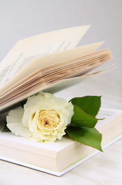 里面的书-一个爱的故事概念的白玫瑰 — 图库照片