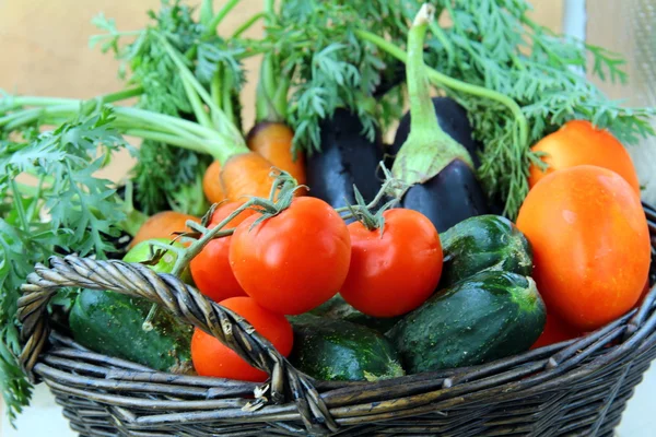 Keverjük össze a friss zöldség (sárgarépa, padlizsán, uborka, paradicsom) fekete Wi — Stock Fotó