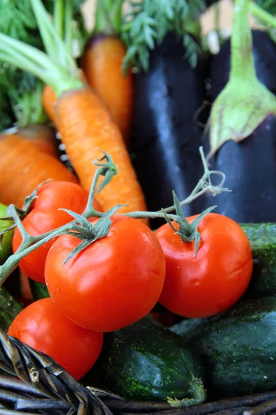 Mix čerstvé zeleniny (mrkev, lilek, okurky, rajčata) v černém wi — Stock fotografie