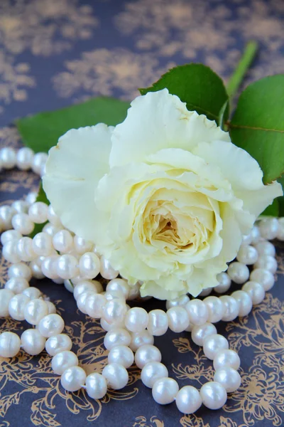 Rosa blanca y cadena de perlas blancas sobre un fondo vintage — Foto de Stock