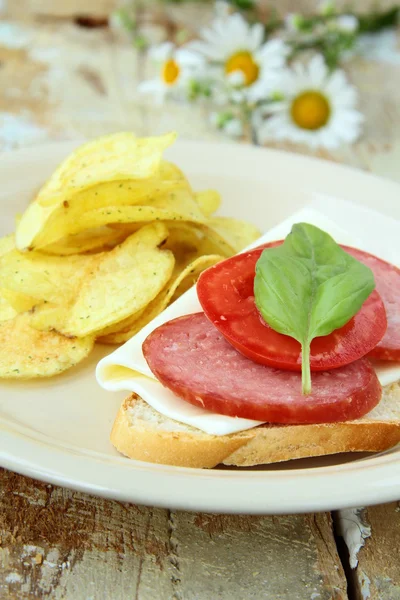 Kanapki z bagietki i salami z serem i pomidorami — Zdjęcie stockowe