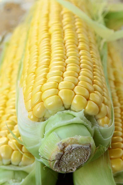Primer plano de maíz amarillo con mazorcas adicionales de maíz en el fondo —  Fotos de Stock