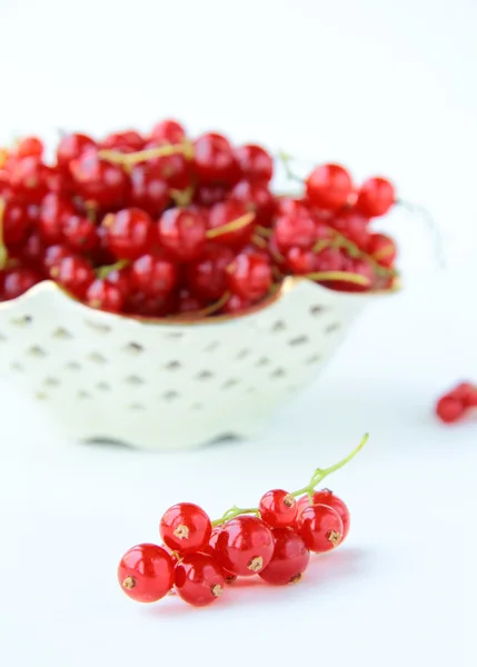 Stock image Ripe red currants on a white background