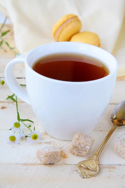 Cup of fragrant tea with sugar and sweets — Stock Photo, Image