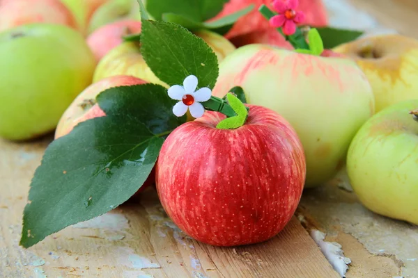 Ahşap masa yapraklarda ile kırmızı, yeşil ve sarı elmalar — Stok fotoğraf