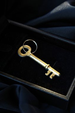 Vintage golden key in the black box on a black background clipart