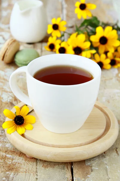 Cup of fragrant tea with sugar and sweets — Stock Photo, Image