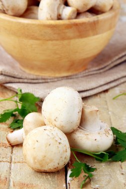 mantar champignon ahşap tablo