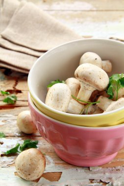 mantar champignon ahşap tablo