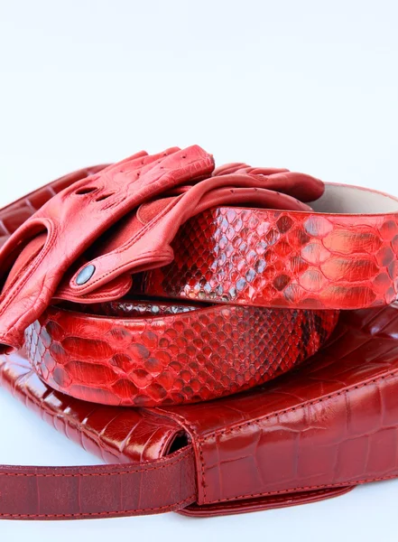 Női dekoratív piros táska és egy stílusos öv — Stock Fotó
