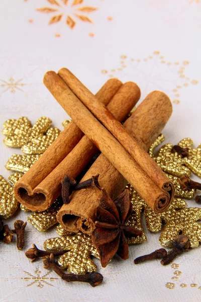 Colar canela, anis e cravo - especiarias de Natal — Fotografia de Stock