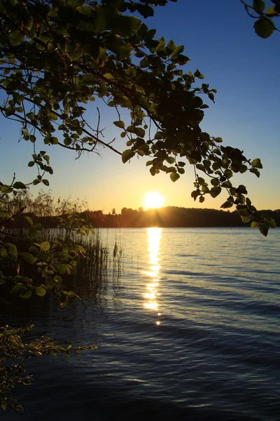 Схід сонця біля озера — стокове фото