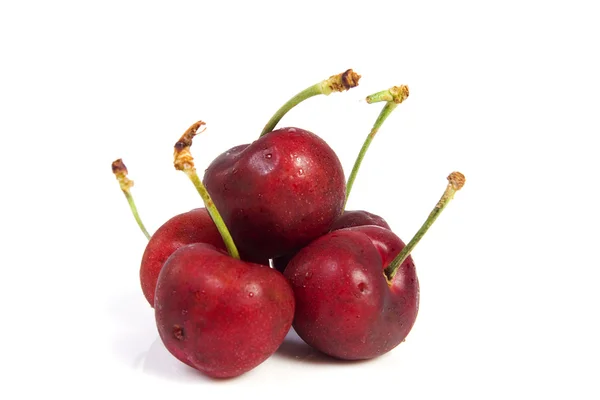 Cereza roja con gotas de rocío —  Fotos de Stock