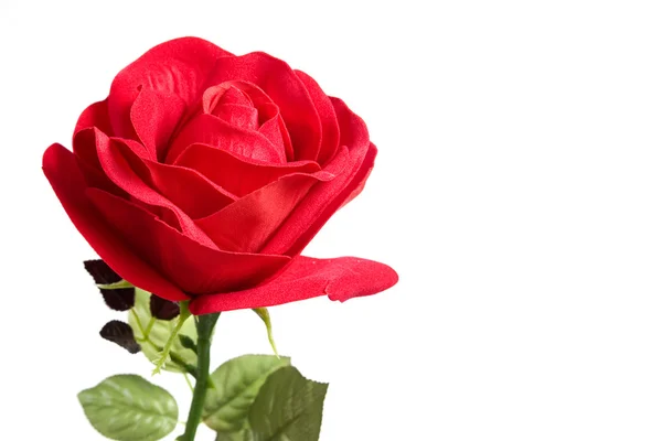 Tkaniny róża — Zdjęcie stockowe