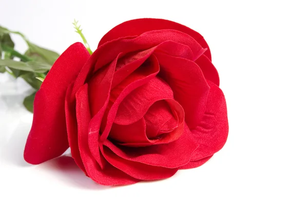 Rosa de tela — Foto de Stock