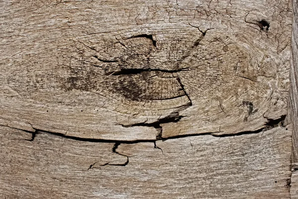 Fragment de vieux panneau en bois — Photo