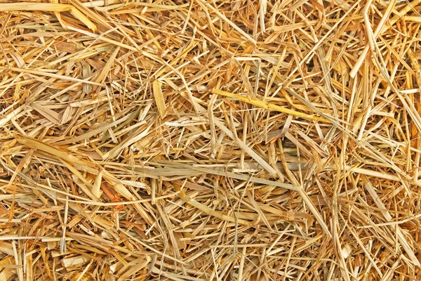 The texture of straw — Stock Photo, Image